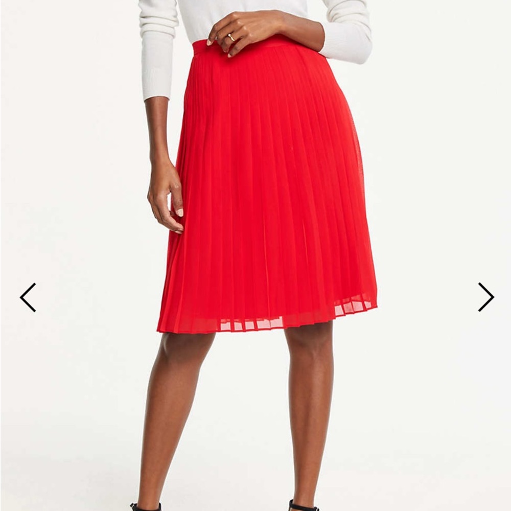 NWOT Ann Taylor Petite Pleated Skirt